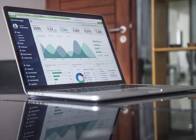 Client dashboard showing analytics and metrics